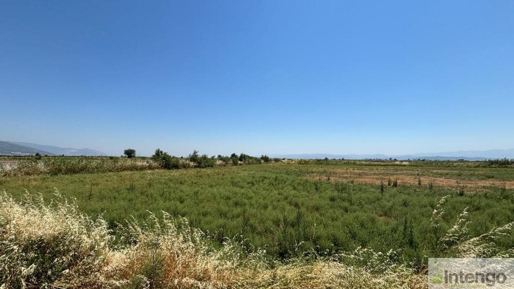 SÖKE GÜLLÜBAHÇE MAHALLESİ'NDE SATILIK TARLA (Y-1781)