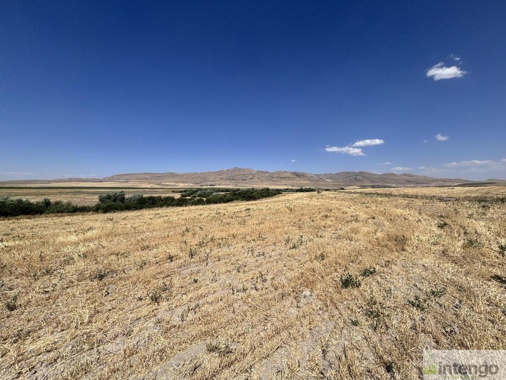 MALAZGİRT MOLLABAKİ KÖYÜ'NDE SATILIK TARLA (AB-978)