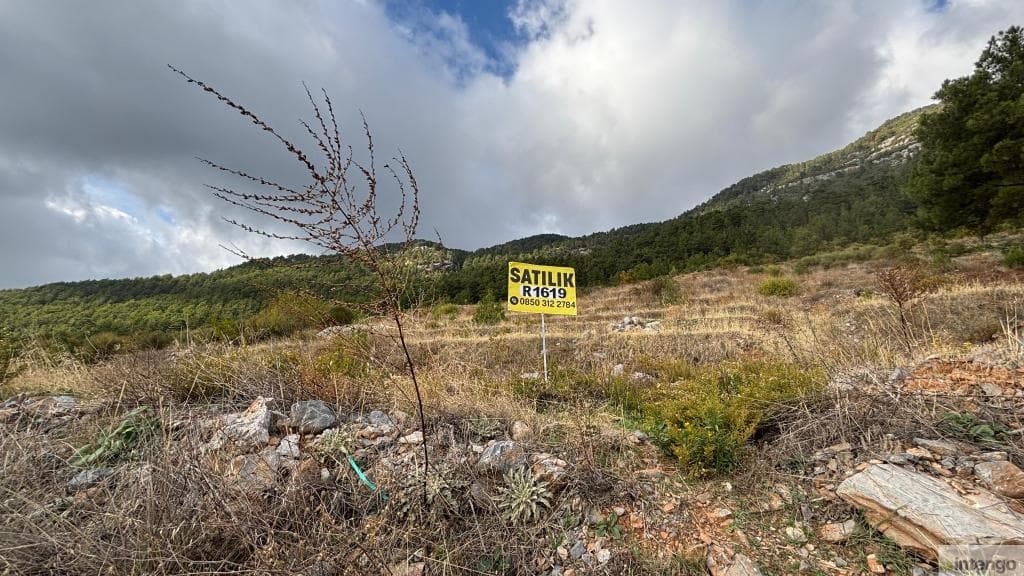 ALANYA UĞURLU MAHALLESİ'NDE SATILIK TARLA (R-1619)