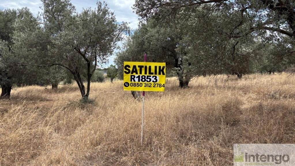 ALİAĞA BOZKÖY MAHALLESİ'NDE SATILIK ZEYTİNLİK (R-1853)